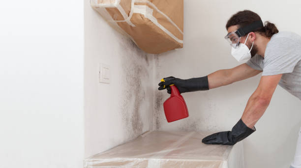 Professional Mold Inspection And Testing technician working in Groveland, MA